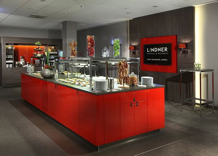 Hotel Lindner Frankfurt Hochst, Part Of Jdv By Hyatt 4*